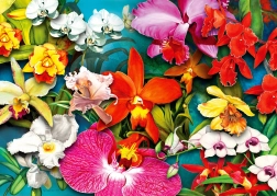 Puzzel Jungle Orchideeën 1000 stukjes