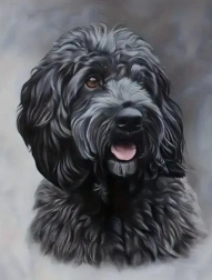 Diamond painting zwarte cockapoo 30 × 40 cm