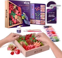 OKTO Passion artistieke modelleerset vetplanten in houten lijst 21 × 21 cm