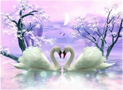 diamant schilderen zwanenliefde 30 × 40 cm