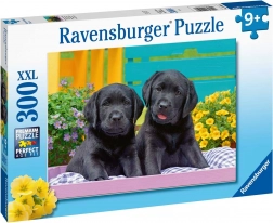Ravensburger puzzel Puppy Life 300 stukjes