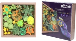 Creatieve modelleerset met vetplanten in houten lijst 21 × 21 cm