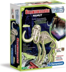 Wetenschappelijke set – mammoetfossiel