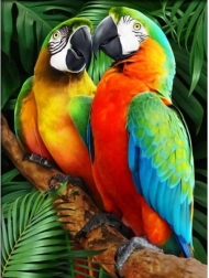 Diamantmozaïek (diamond painting) kleurrijke ara’s 30 × 40 cm