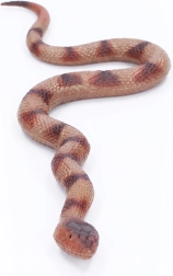 Zachte rubberen slang 60 cm