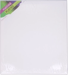 Schildersdoek 40 × 50 cm