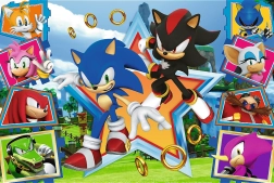 Puzzel 100 stukjes - Maak kennis met Sonic