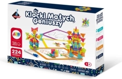 Bouwset Geometrische Sneeuwvlokken - 224 onderdelen