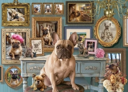 Puzzel Franse Bulldog 500 stukjes Cobble Hill