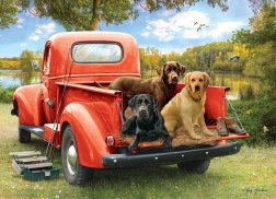 Puzzel Vrienden aan het vissen 1000 stukjes