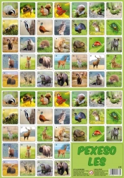 Pexeso Bos - bosdieren