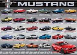 Puzzel ontwikkeling FORD MUSTANG 1000 stukjes
