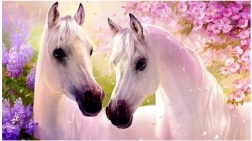 Diamant schilderen – verliefde paarden 30x40 cm NORIMPEX