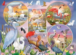 Puzzel betoverende watervogels 1000 stukjes