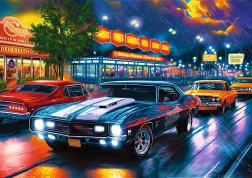 Trefl puzzel Premium Plus Nachtelijke rit 1000 stukjes