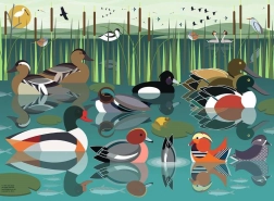 Ravensburger puzzel Ik hou van watervogels 500 stukjes