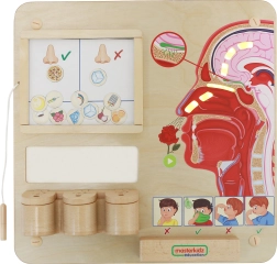 MASTERKIDZ educatief bord reukzin Montessori