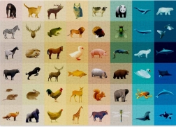 Puzzle CLOUDBERRIES Fauna 1000 stukjes