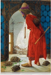 STAR puzzel schildpadtrainer – 1000 stukjes