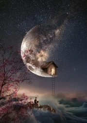 Puzzel Fluisteren van Dromen 1000 stukjes