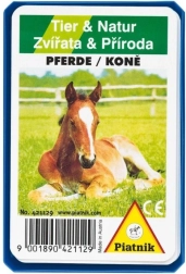 Kwartet - Paarden in plastic doosje