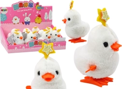 Opwindende Springende Haan met Sterretje