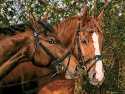 Puzzel Vrienden voor Altijd XL 275 stukjes van Cobble Hill