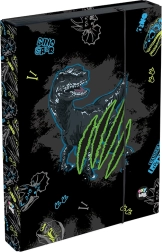 Doos voor notitieboekjes A4 Jumbo OXY GO Dino