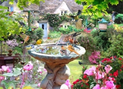 Puzzel Zomervogels 1000 stukjes