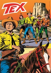 Puzzel 1000 stukjes Tex Compact