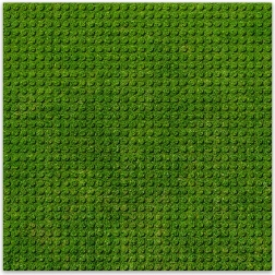 BRIXIES Plus designbouwplaat gras 25,5 x 25,5 cm