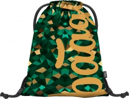 Zak voor gymnastiekschoenen of schoenen Skate Polygon van Baagl