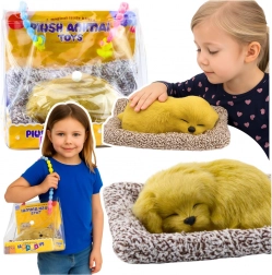 slapend labradorpuppy op kussentje met pluizige vacht in draagtas