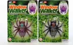 Kruipende spin met zuigende kleefschijf