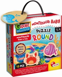 Montessori houten puzzel cirkel