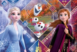 Puzzle 104 Maxi Super Kolor Frozen 2