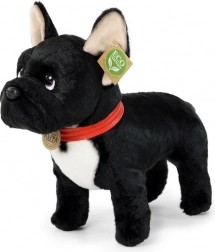 pluchen Franse bulldog zwart met halsband 30 cm eco-friendly