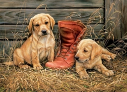 EuroGraphics puzzel puppy’s met oude schoen 1000 stukjes