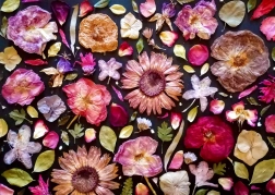 Geniet puzzel roze 1000 stukjes