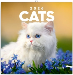 Notitiekalender Katten 2026