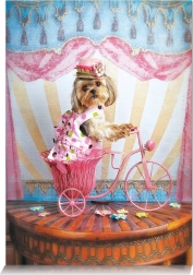 Puzzel Dromerige Reiziger 500 Stukken