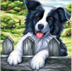Diamantborduren (diamond painting) afbeelding „Hond op het hek“ 30 × 30 cm - 1 stuk