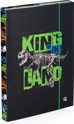 A4 Premium schriftenbox dinosaurus