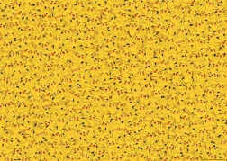 Puzzel Pokémon Pikachu 1000 stukjes