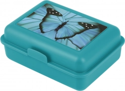 Lunchbox Butterfly