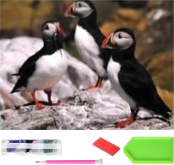 Diamond painting XXL 120 × 60 cm – papegaaiduikers, mozaïekset