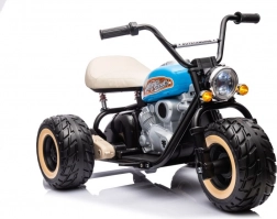 Elektrische driewieler voor kinderen blauw 24V