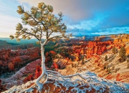 Puzzle EUROGRAPHICS winterdageraad, Bryce Canyon (1000 stukjes)