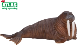 Walrusfiguur