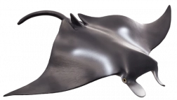 Mojo mobula (manta) – realistische figuur